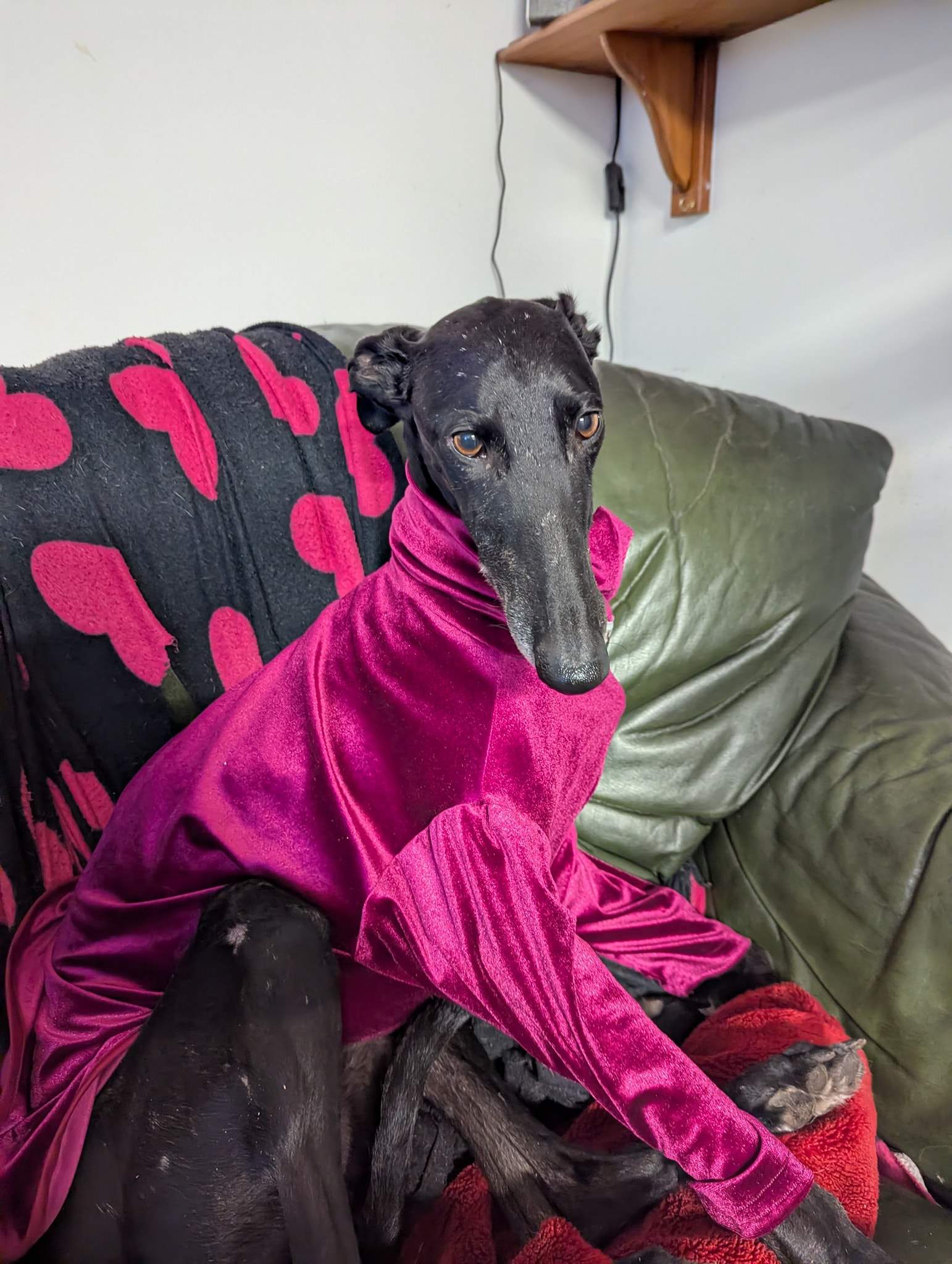 guijo_1180391477634472