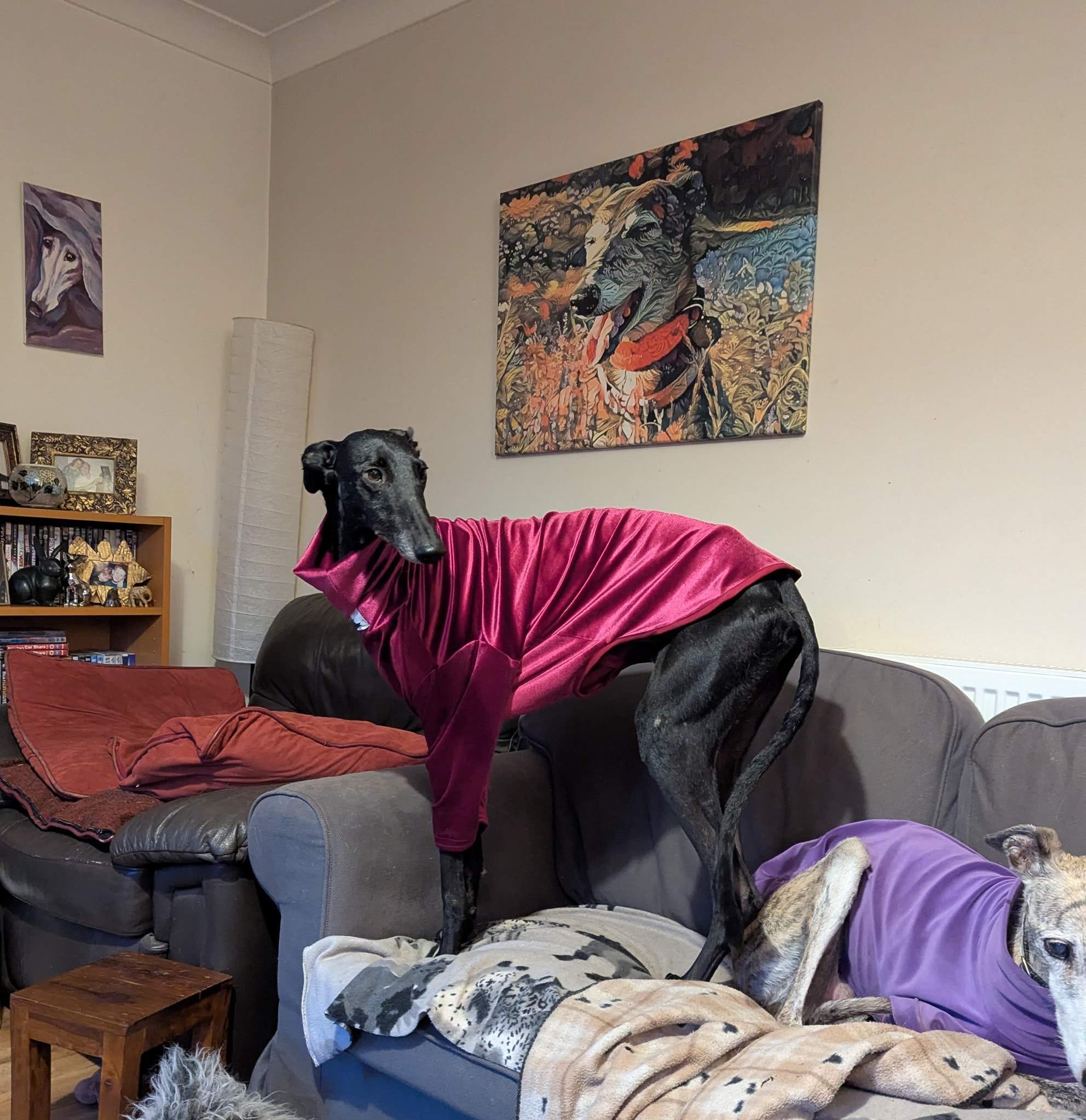 guijo_1180391590967794