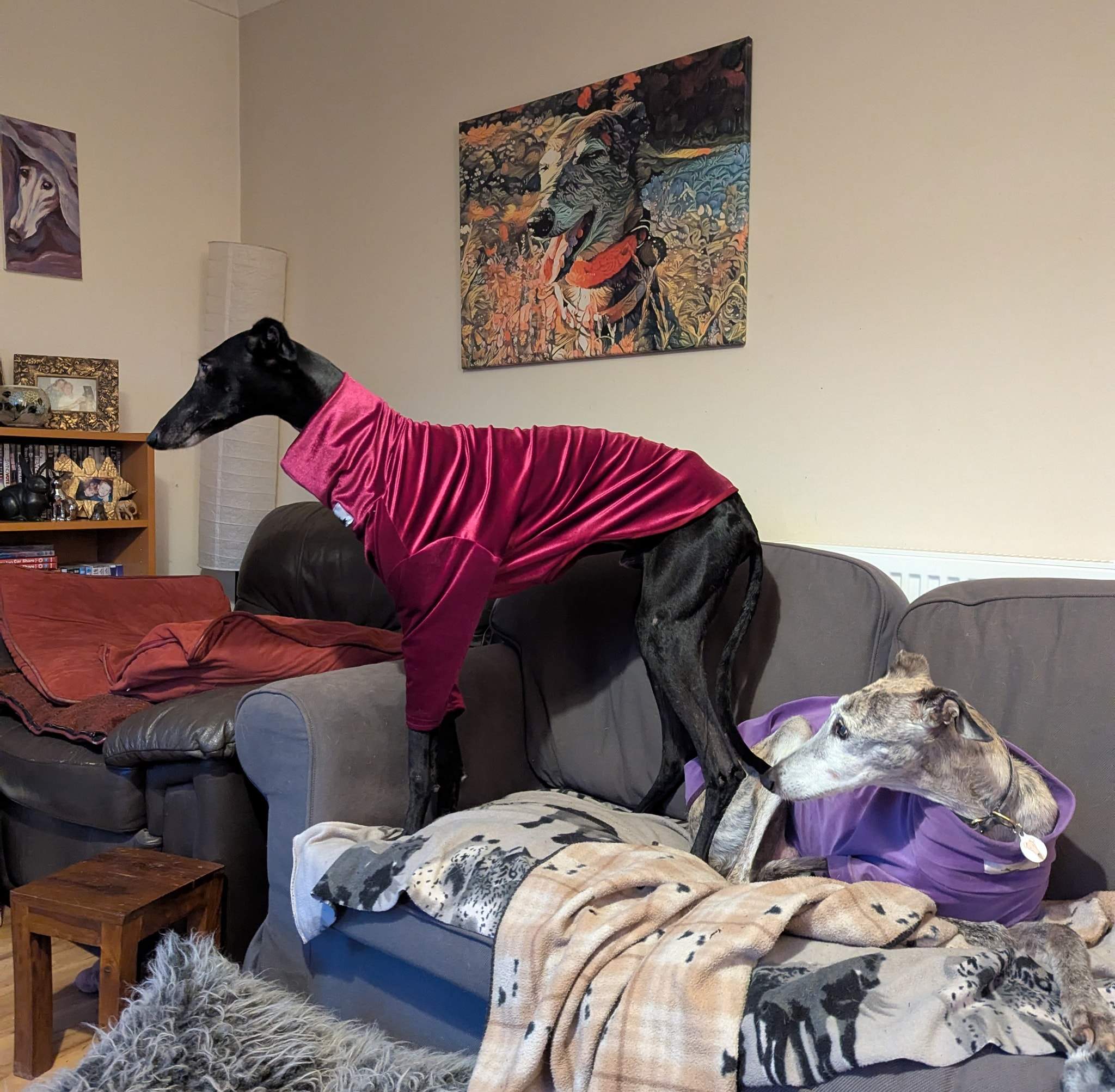 guijo_1180391644301122