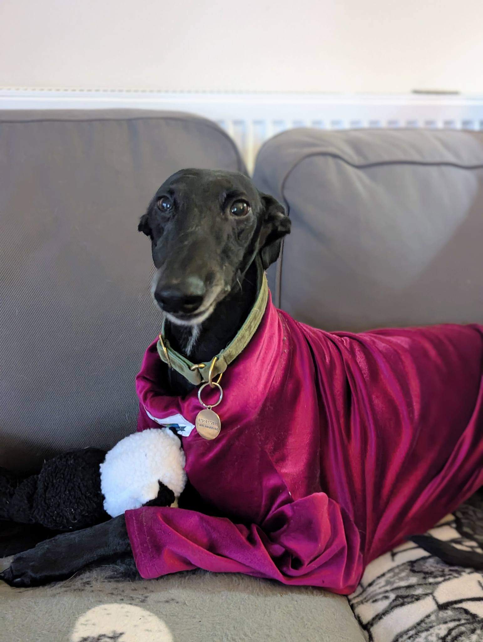 guijo_1185847893755497