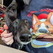 guijo_1186586883681598