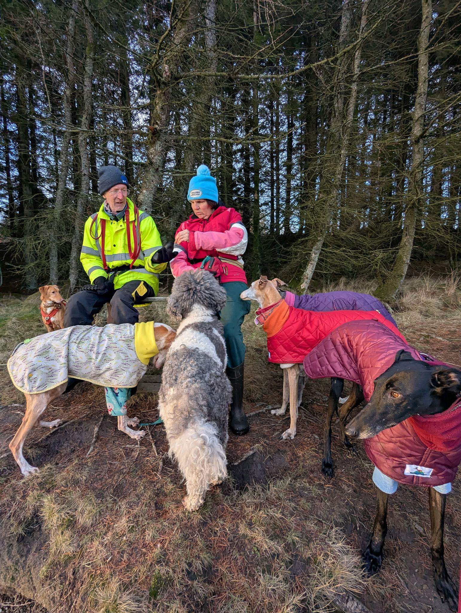 guijo_1188902746783345