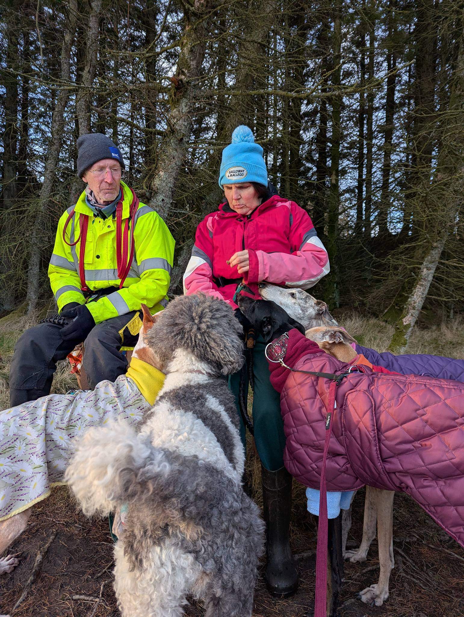 guijo_1188902813450005