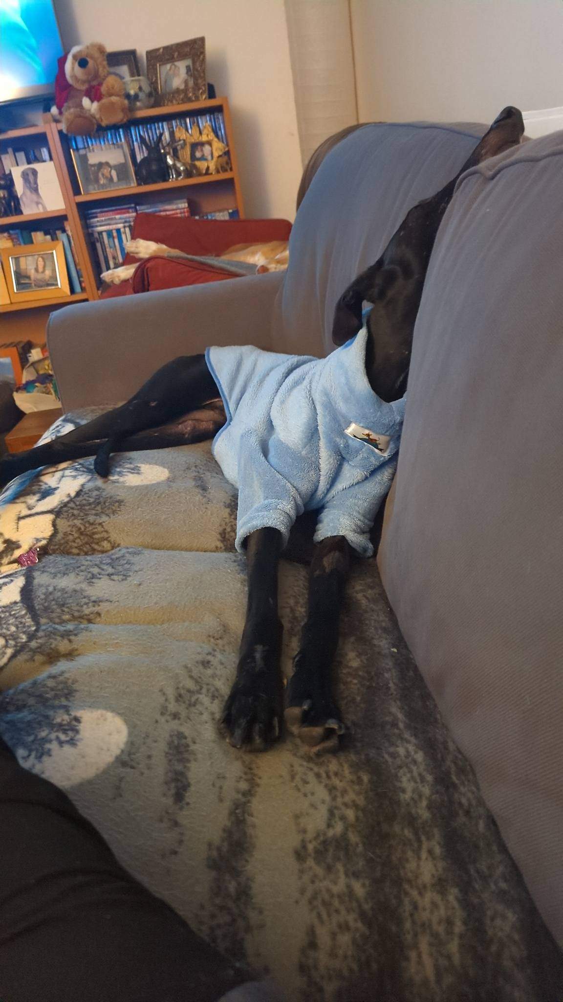 guijo_1190149416658678