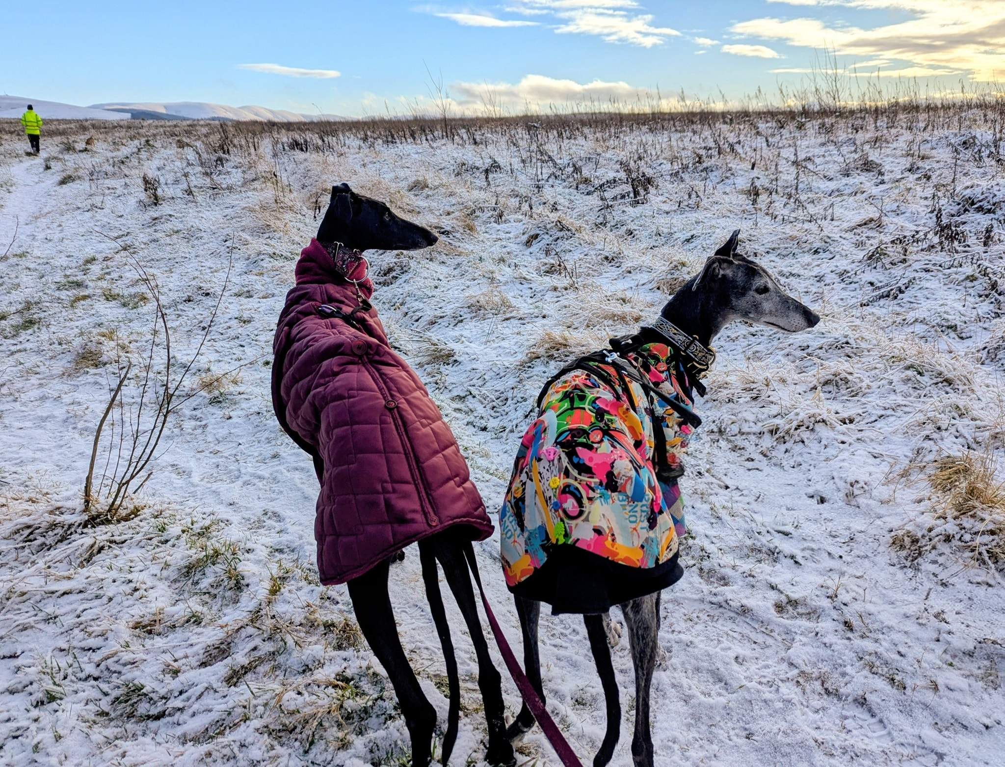 guijo_1196114589395494