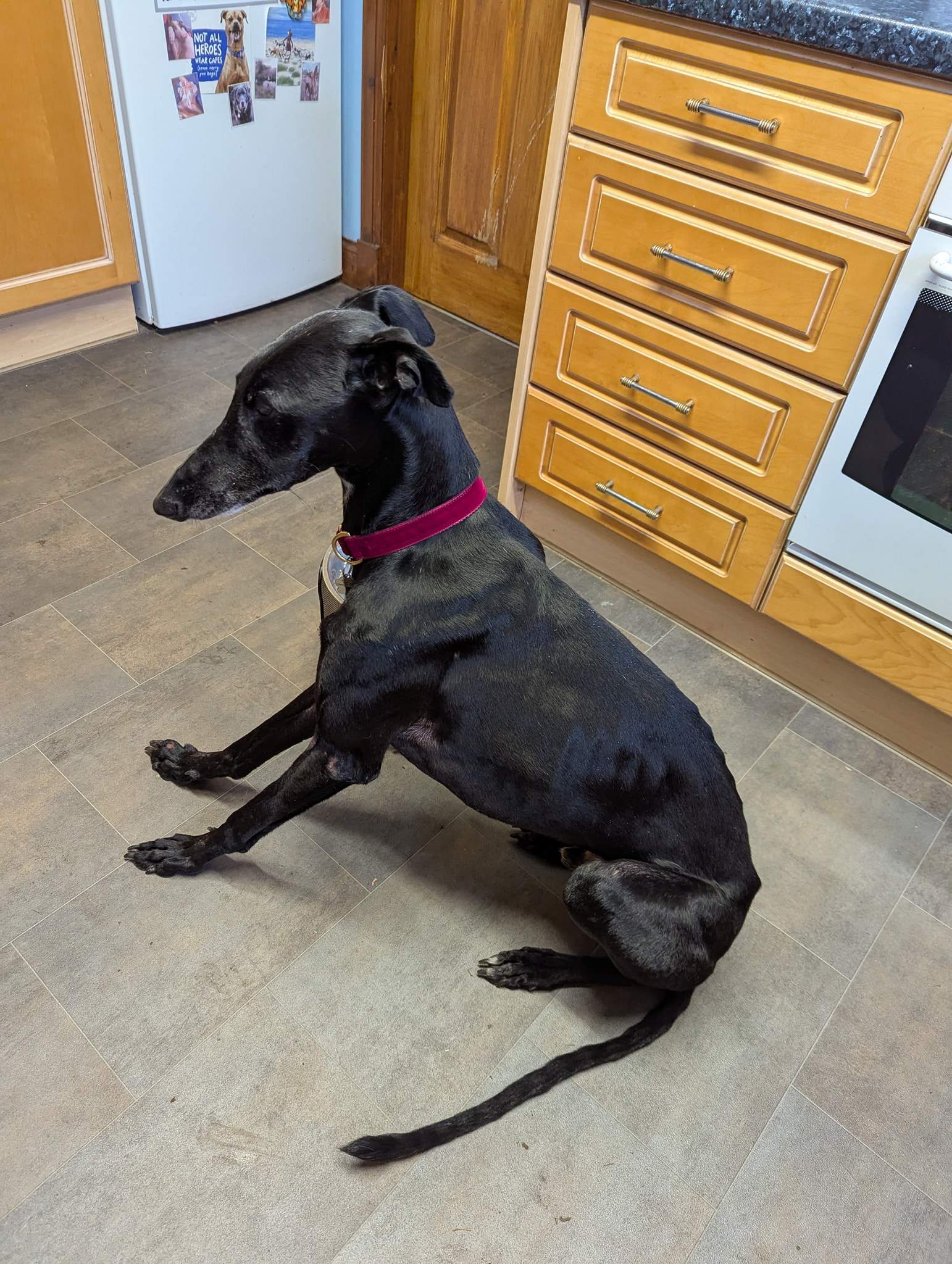 guijo_1203342285339391