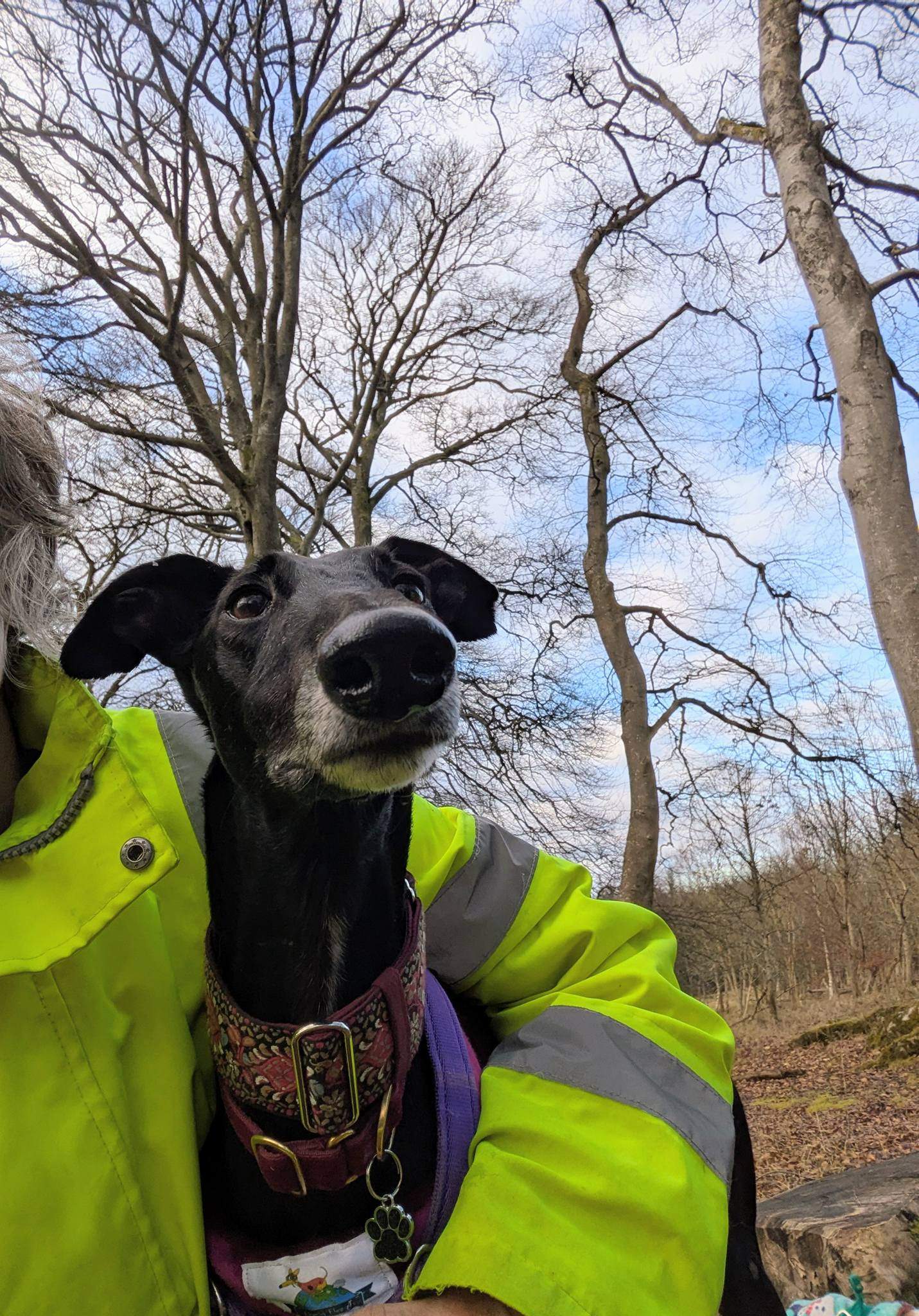 guijo_1212861961054090