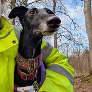 guijo_1212862067720746