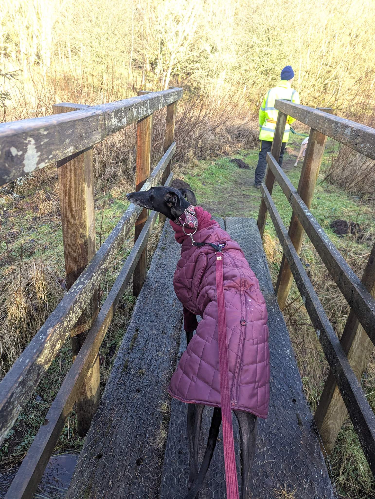 guijo_1233796312293988