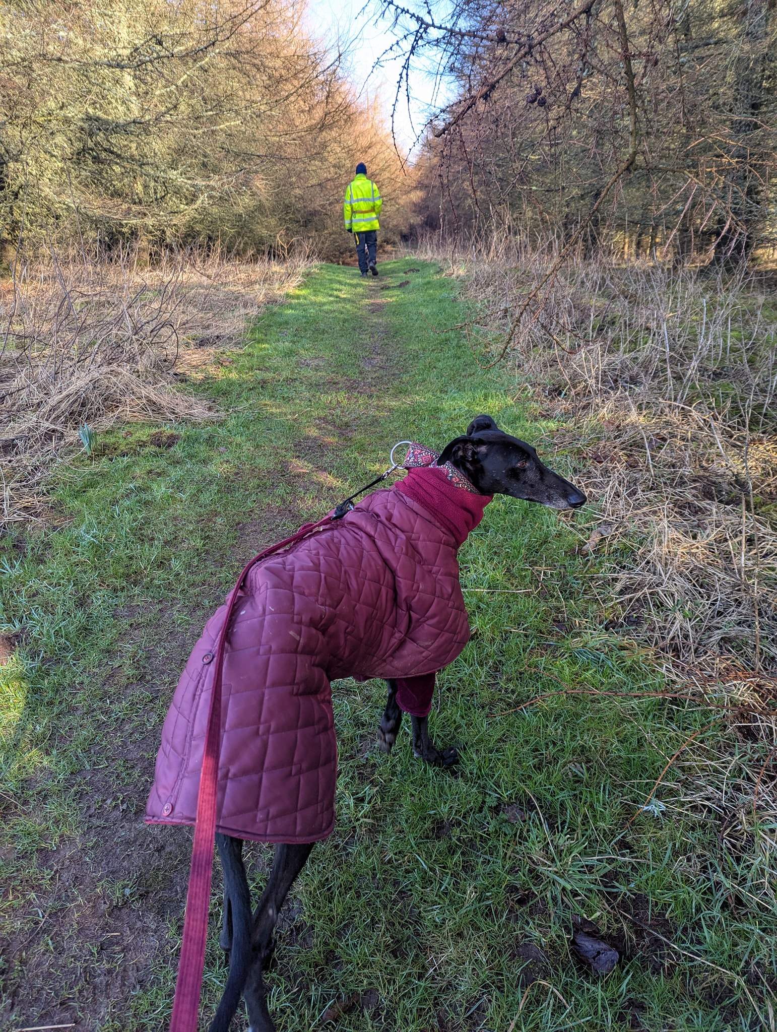 guijo_1233796335627319