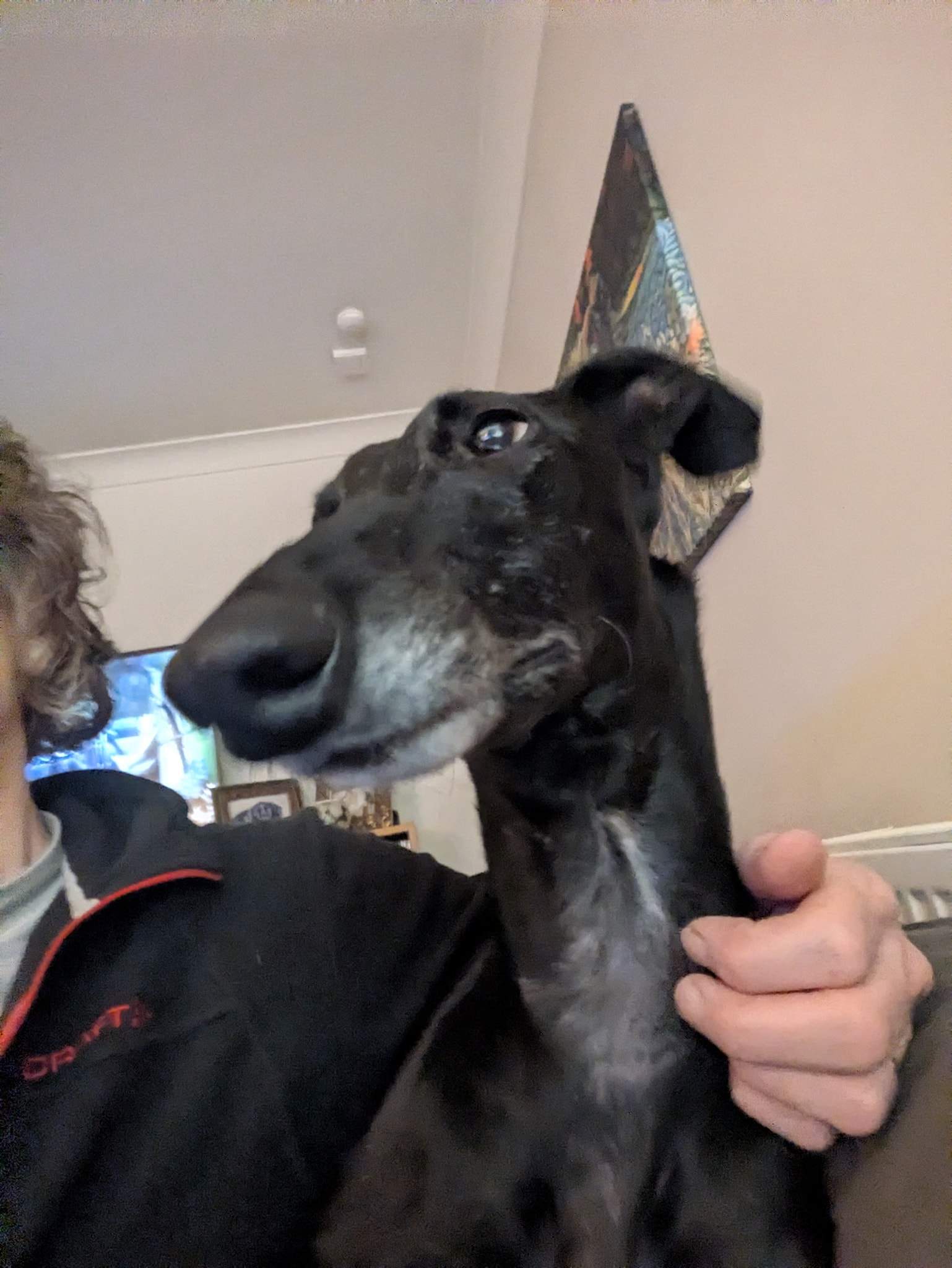 guijo_1235856092088010