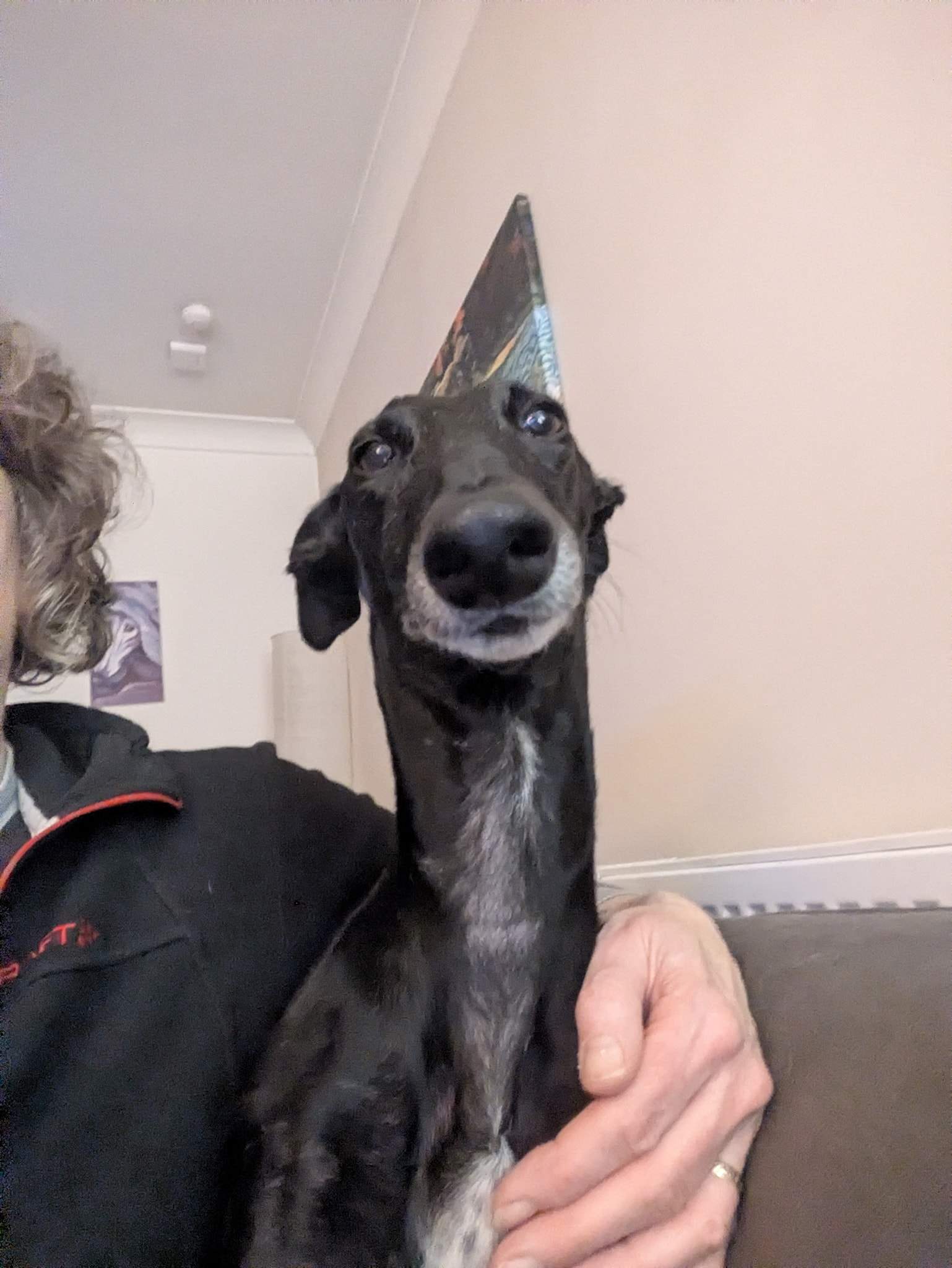 guijo_1235856118754674