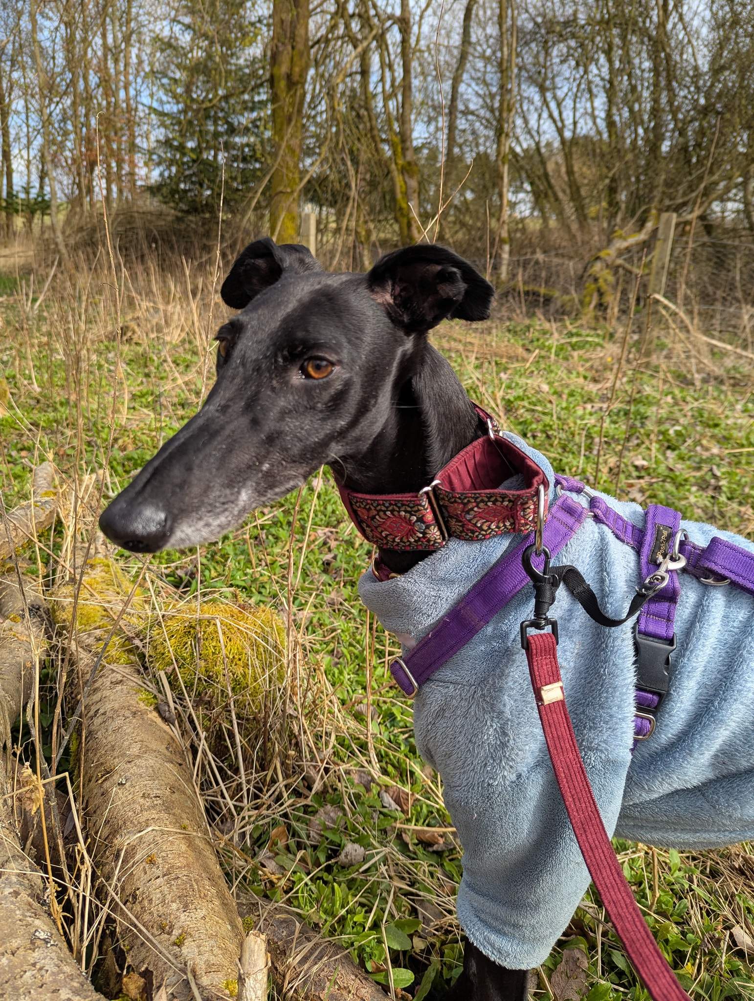 guijo_1248625270811092