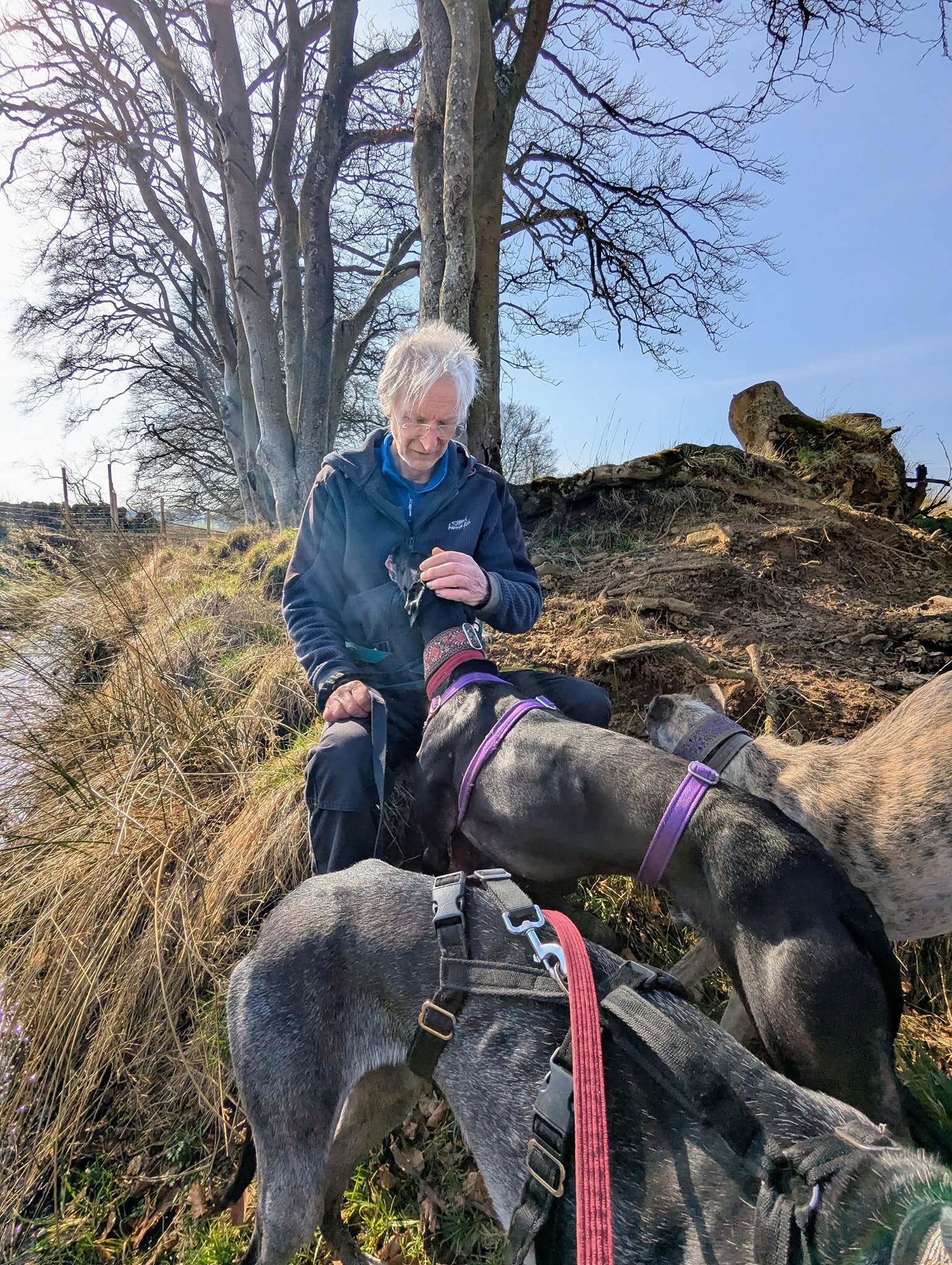 guijo_1250182843988668