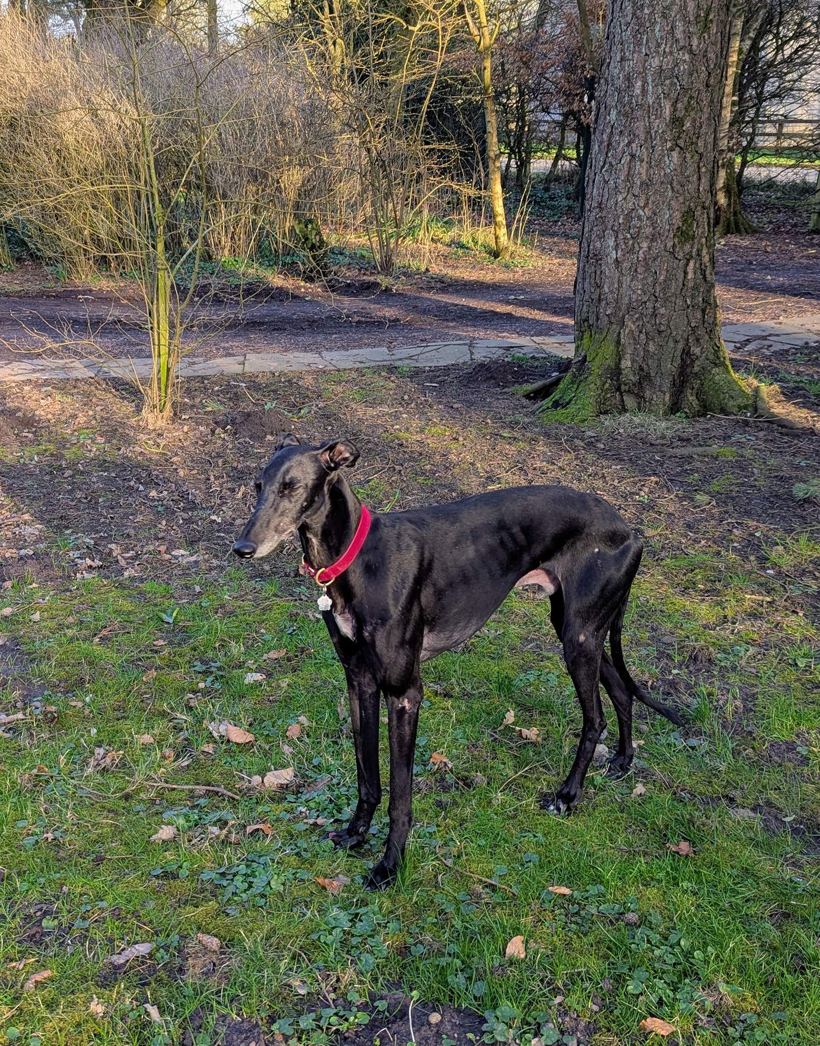 guijo_1250185117321774