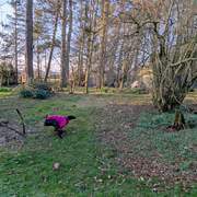 guijo_1251128070560812