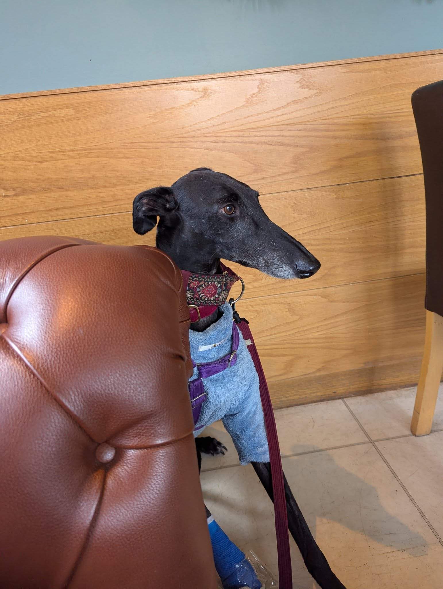 guijo_1272956515044634