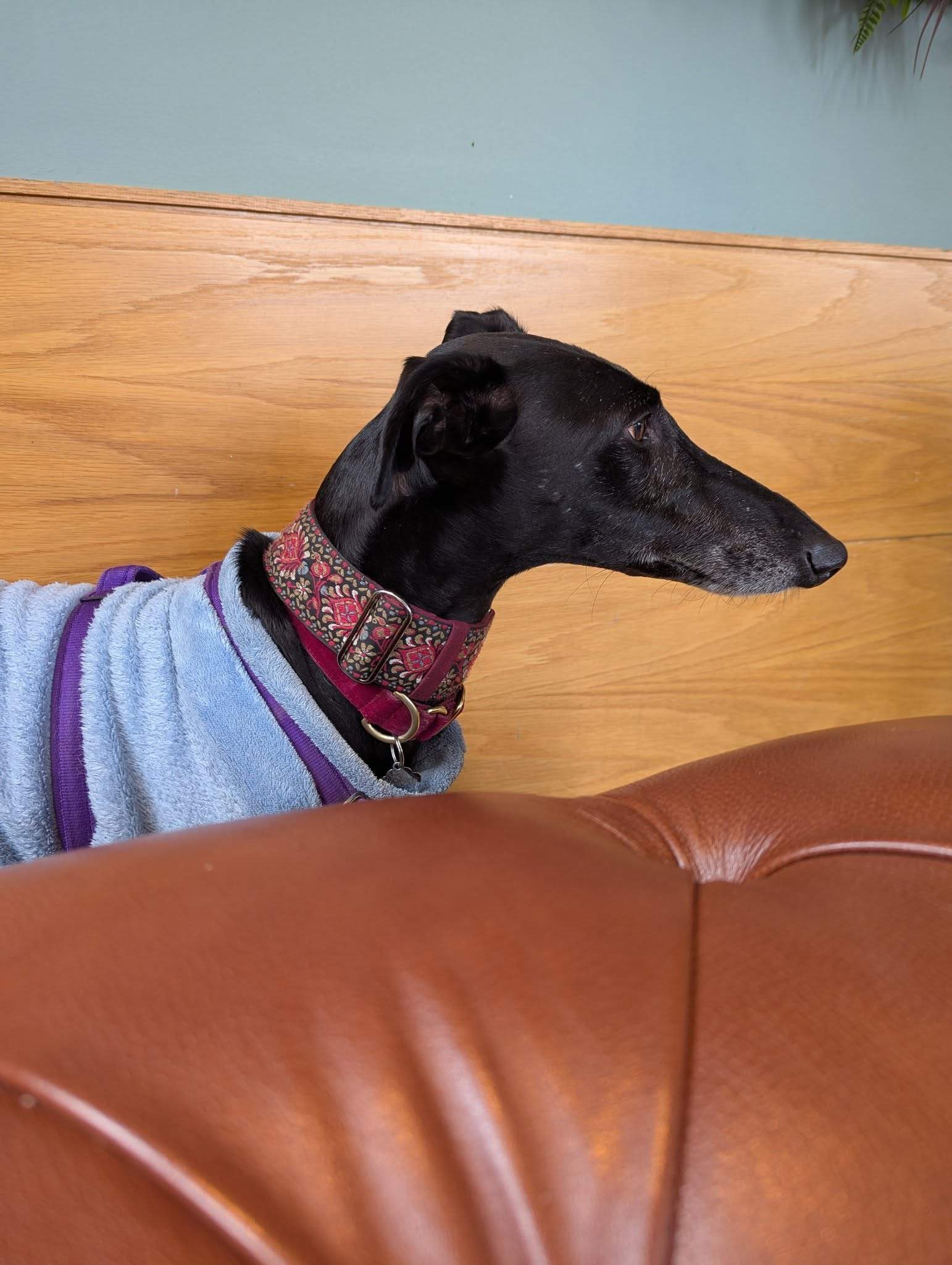 guijo_1272956585044627