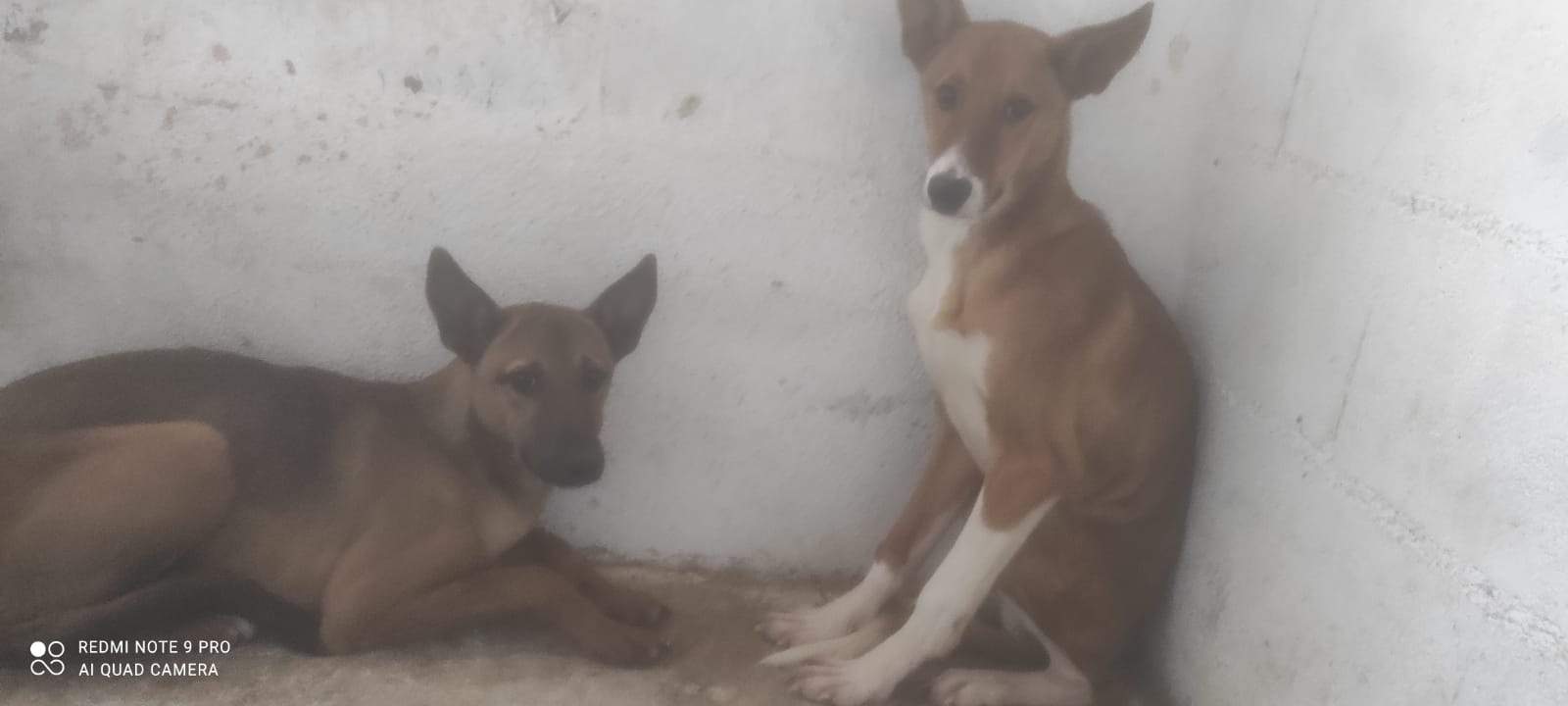 isa_1230043139335972