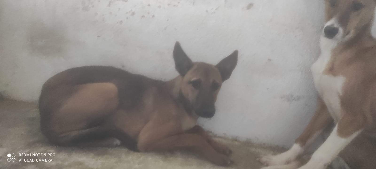 isa_1230043156002637