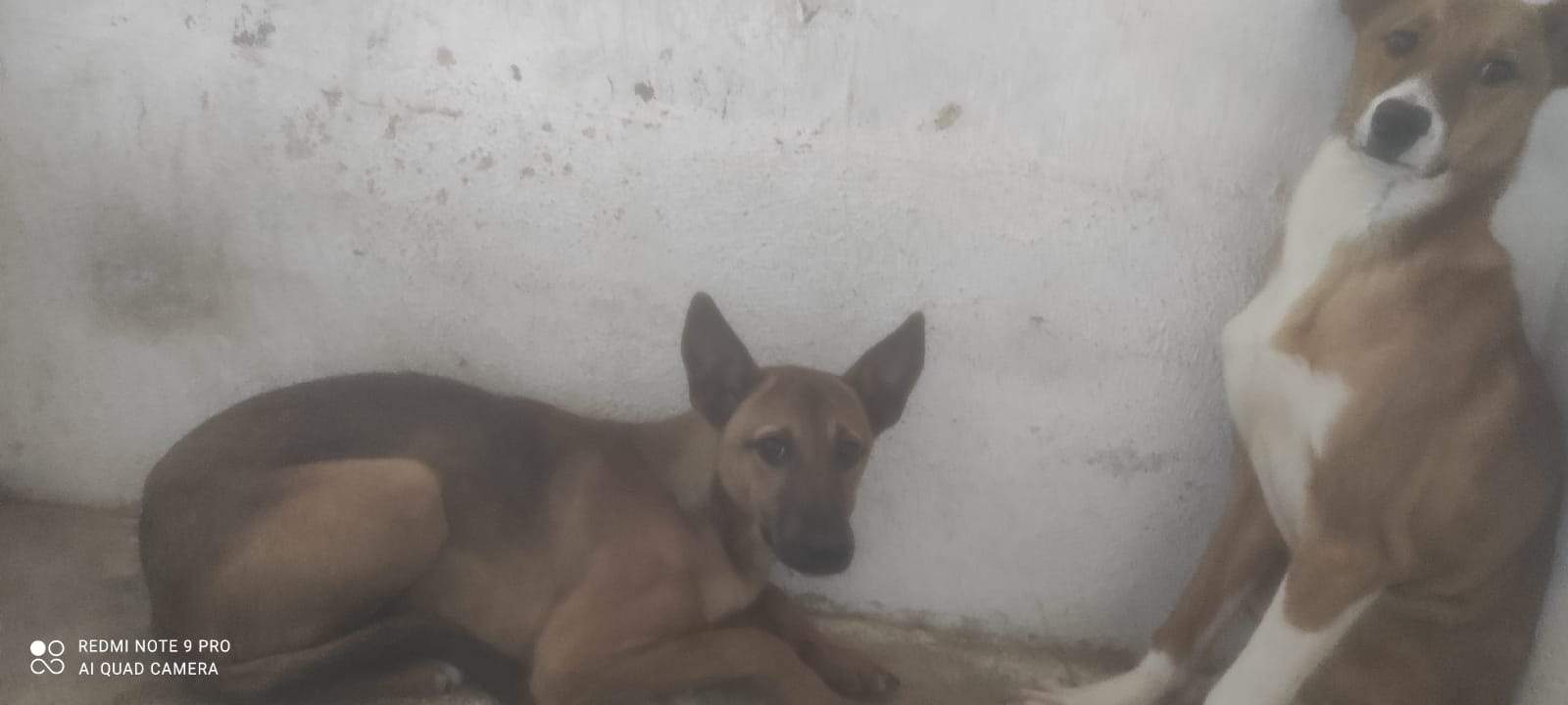 isa_1230043166002636