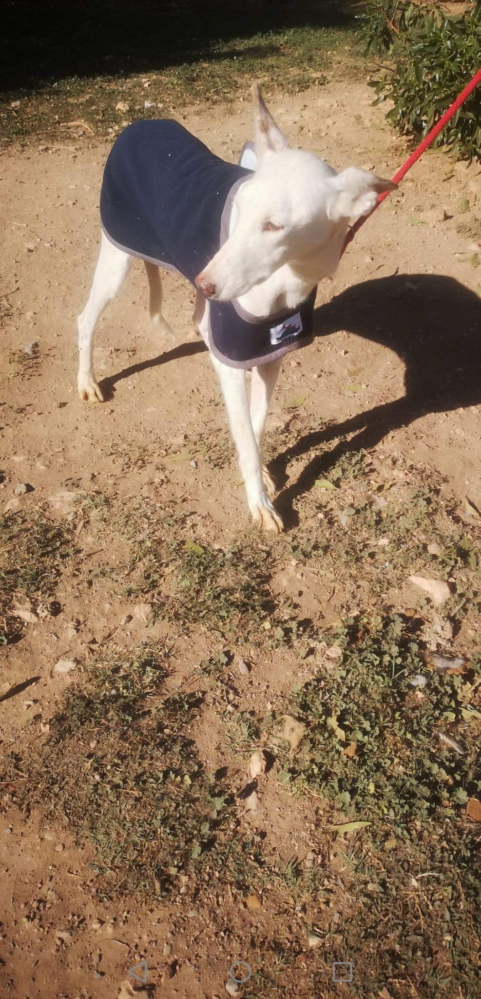 jimena_1163138316026455