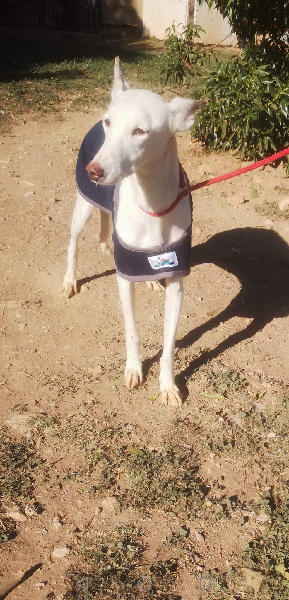 jimena_1163138322693121