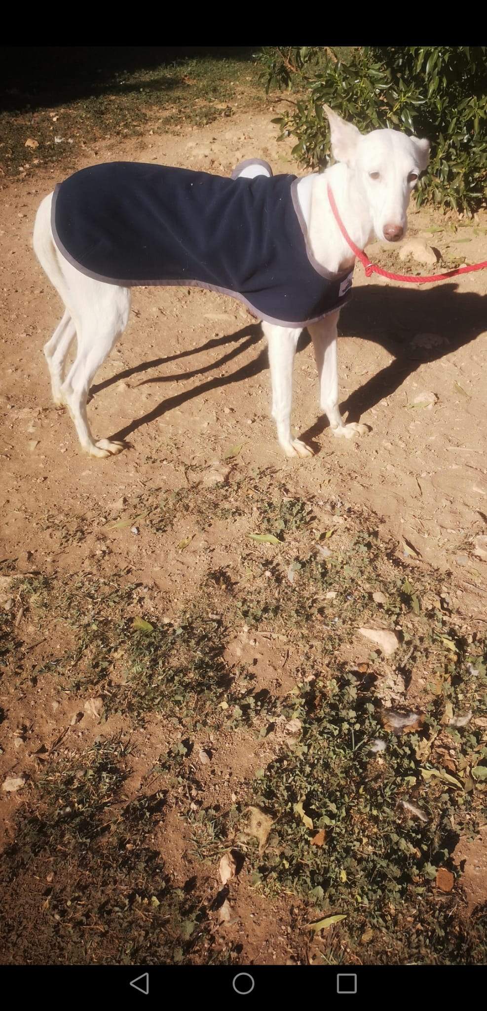 jimena_1163138332693120