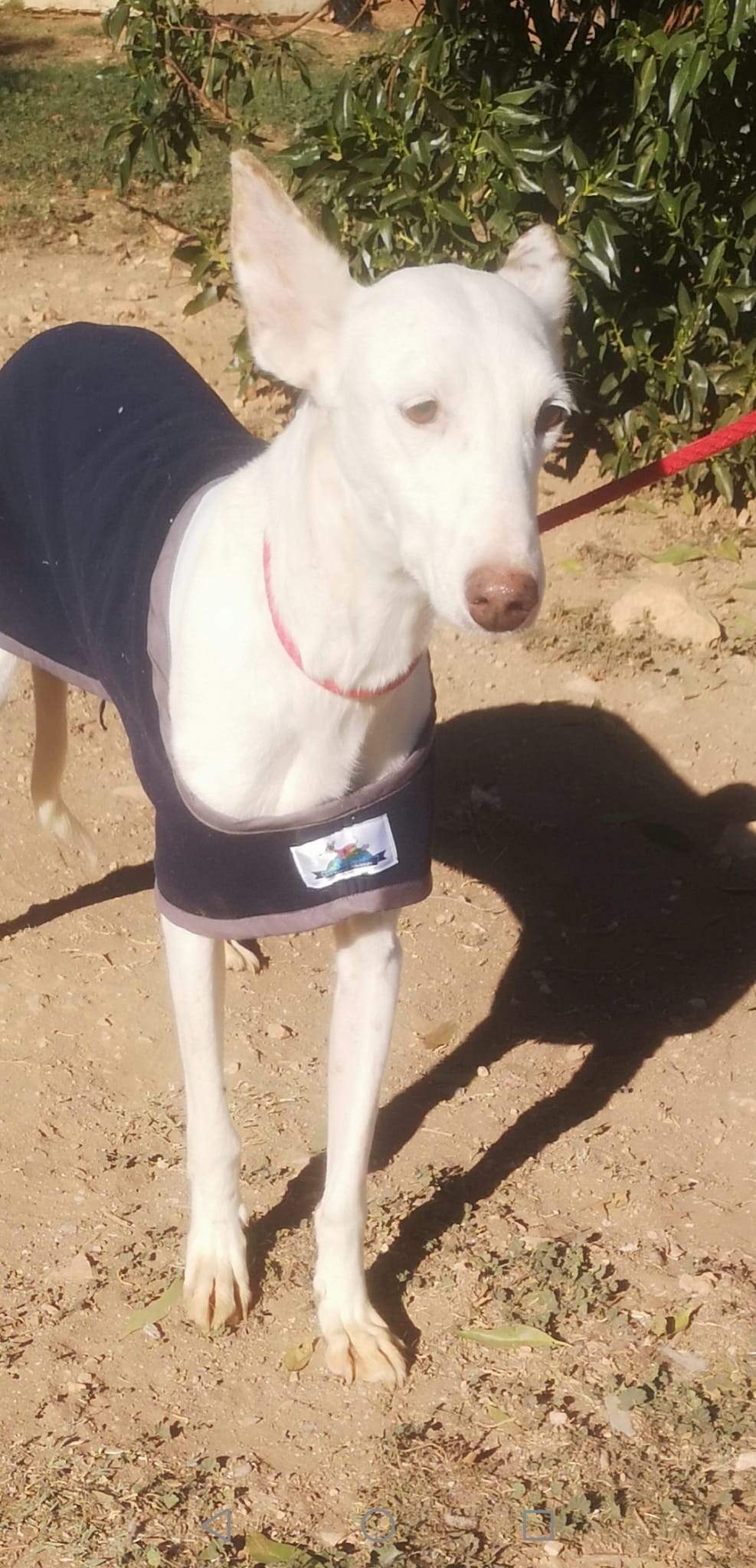 jimena_1163138406026446