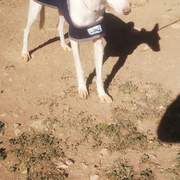 jimena_1163138429359777