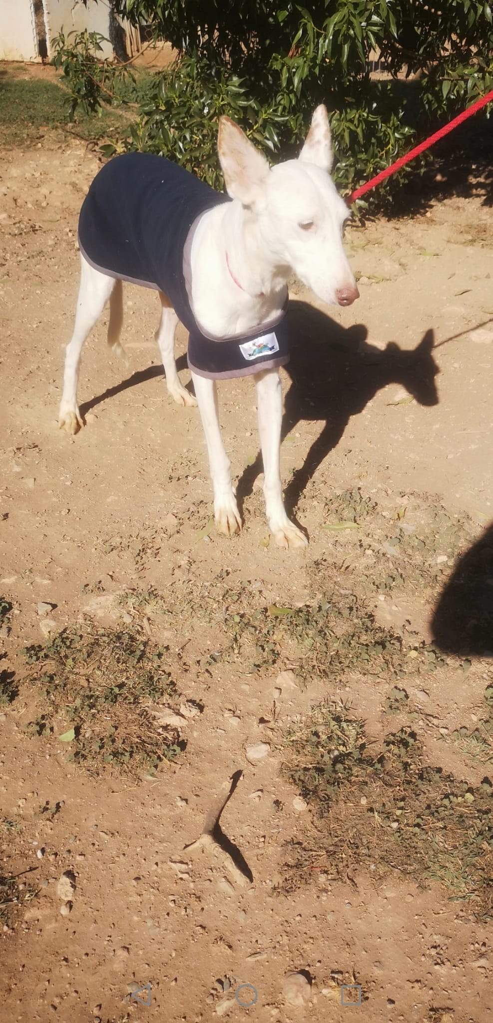 jimena_1163138429359777