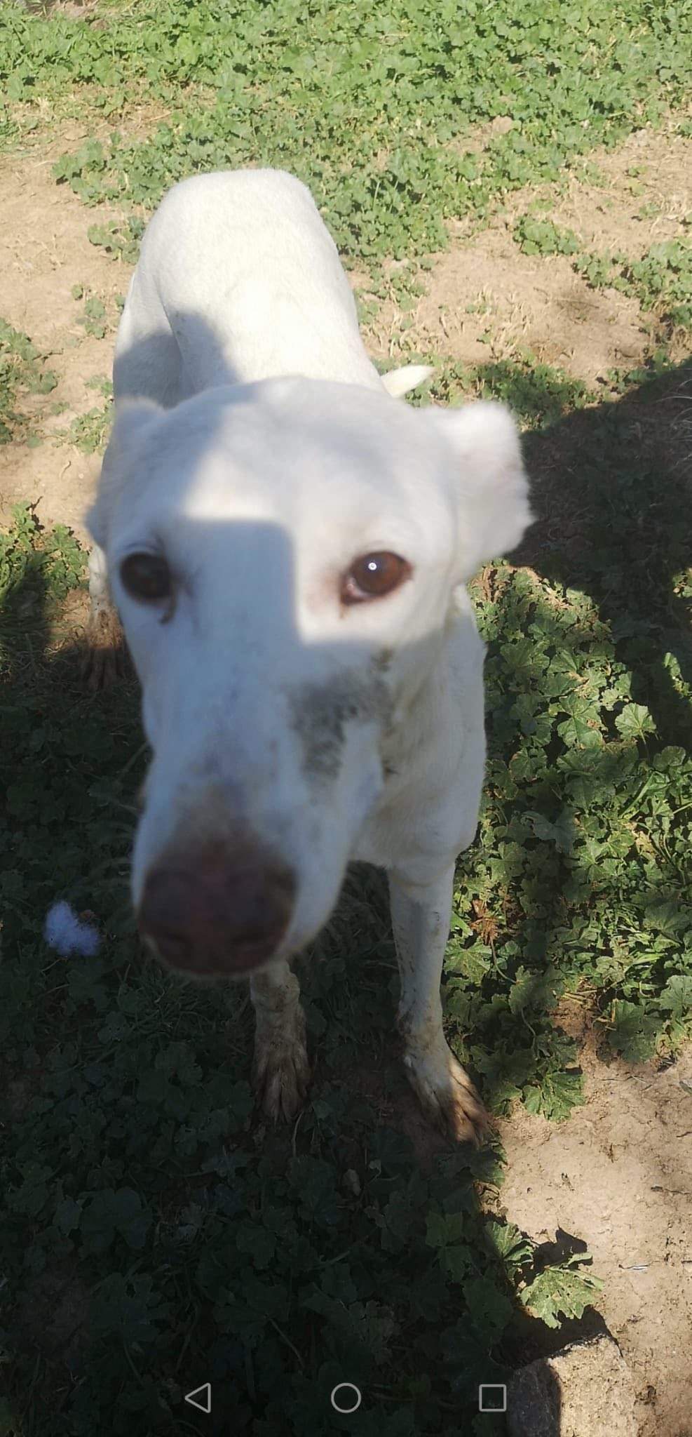 jimena_1229301862743433