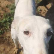 jimena_1229301932743426