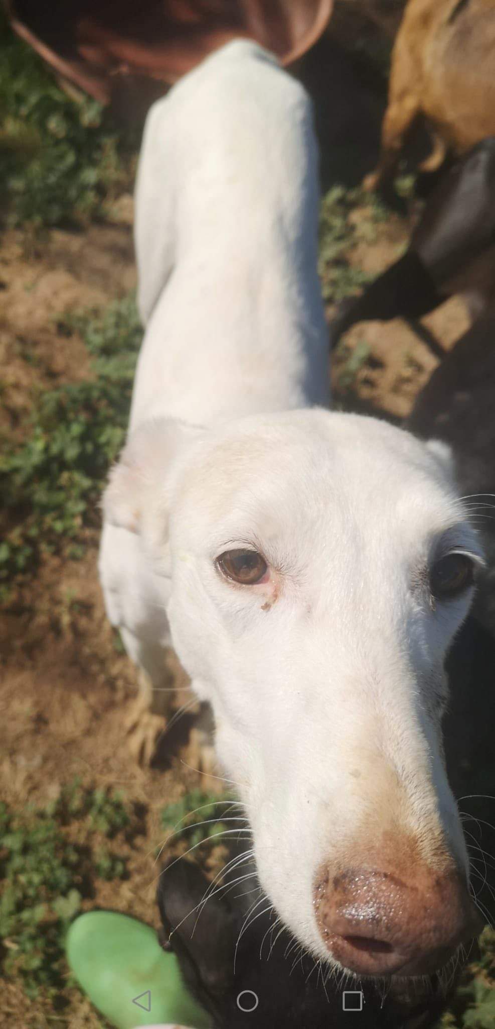 jimena_1229301932743426