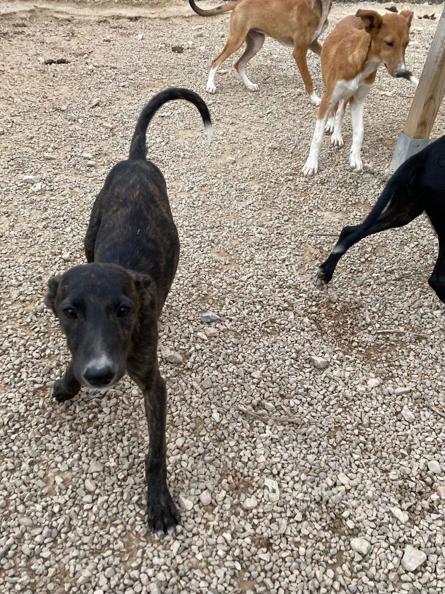 jura_1124998436507110