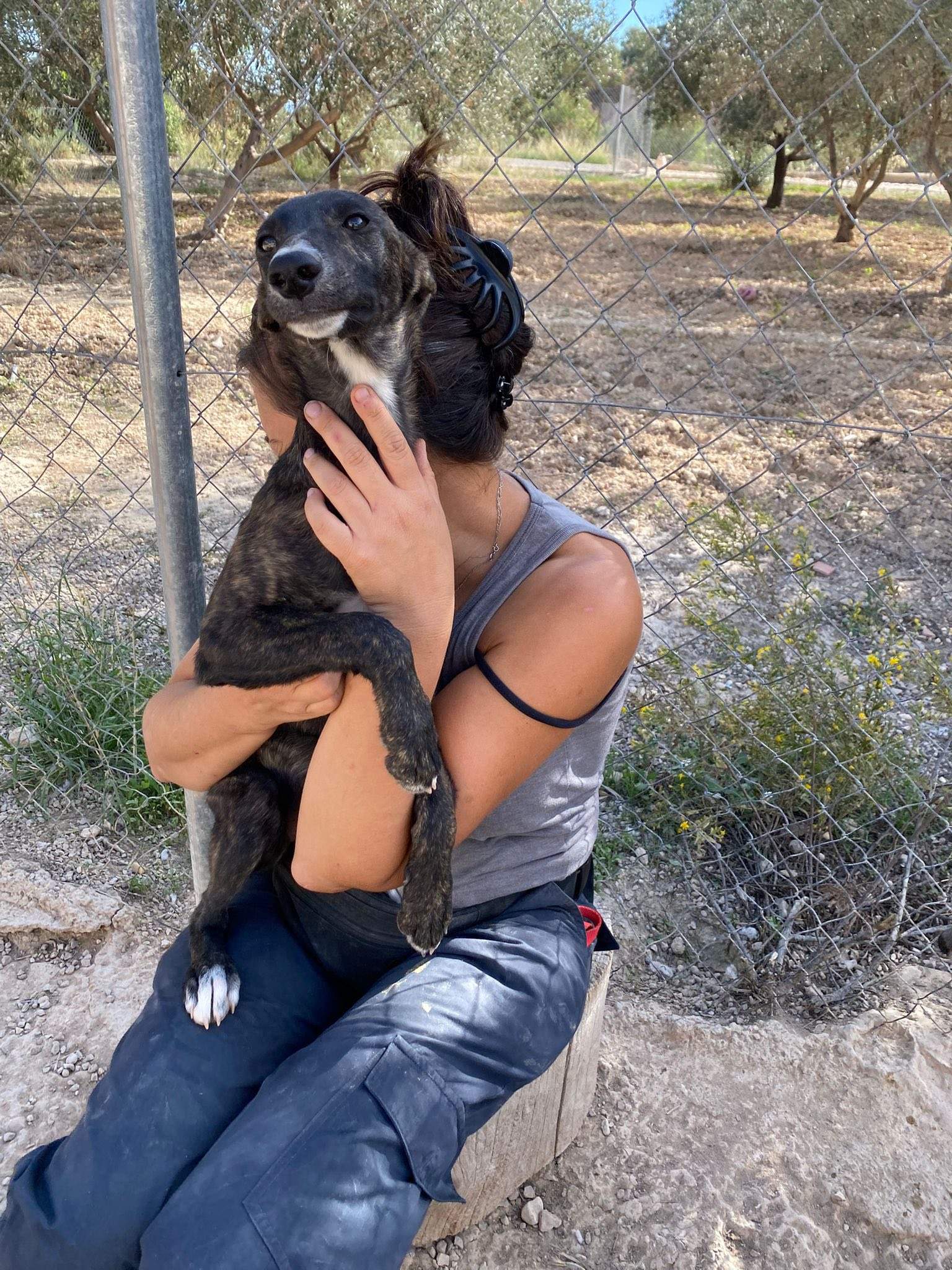 jura_1138080261865594