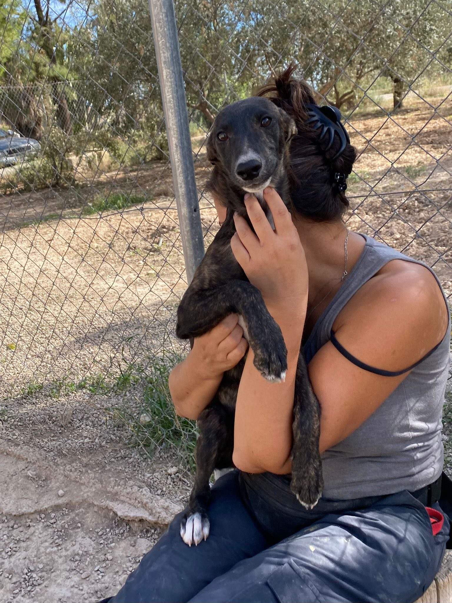 jura_1138080271865593