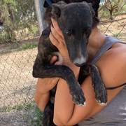 jura_1138080408532246