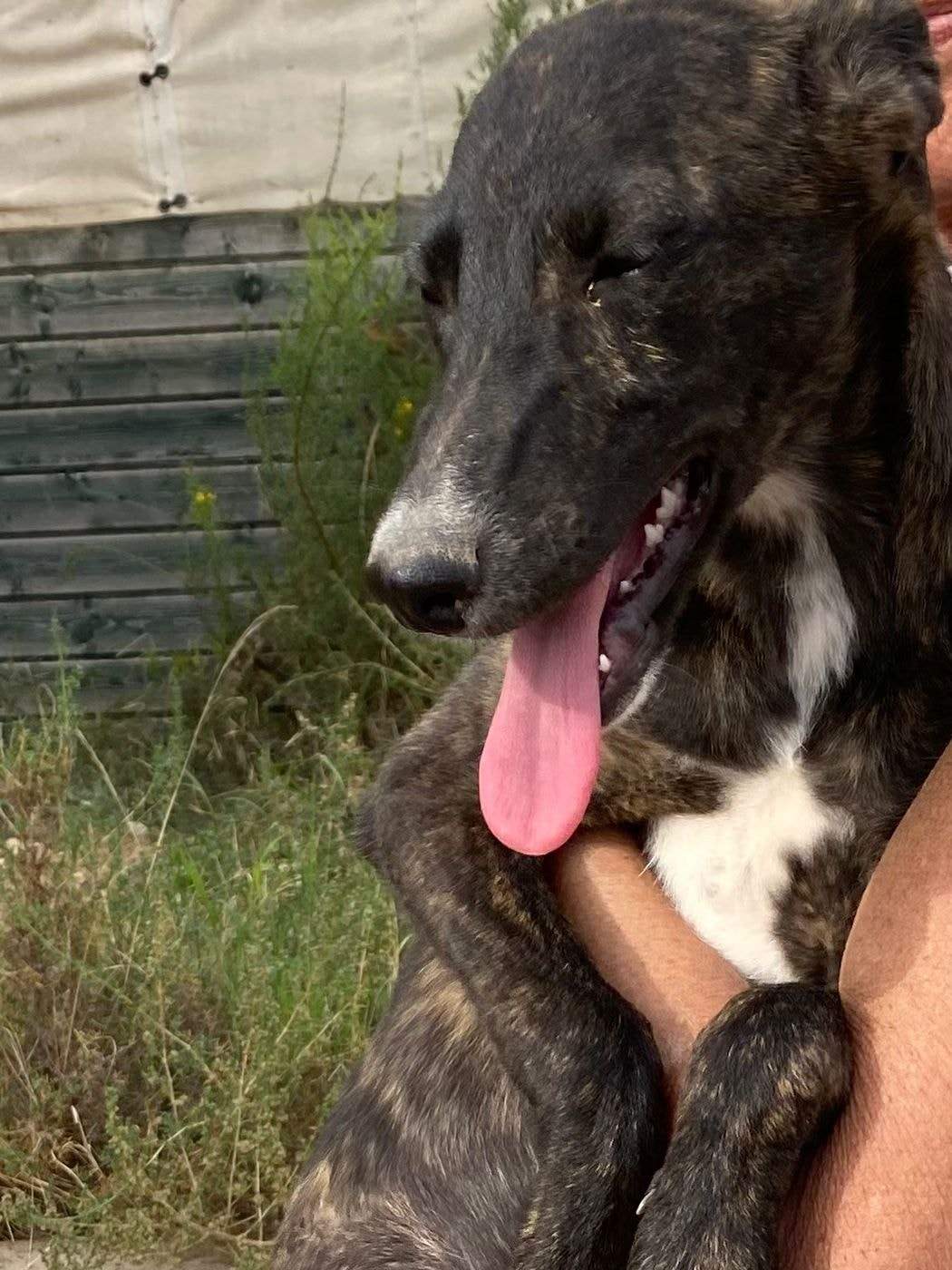 jura_1152226930450927