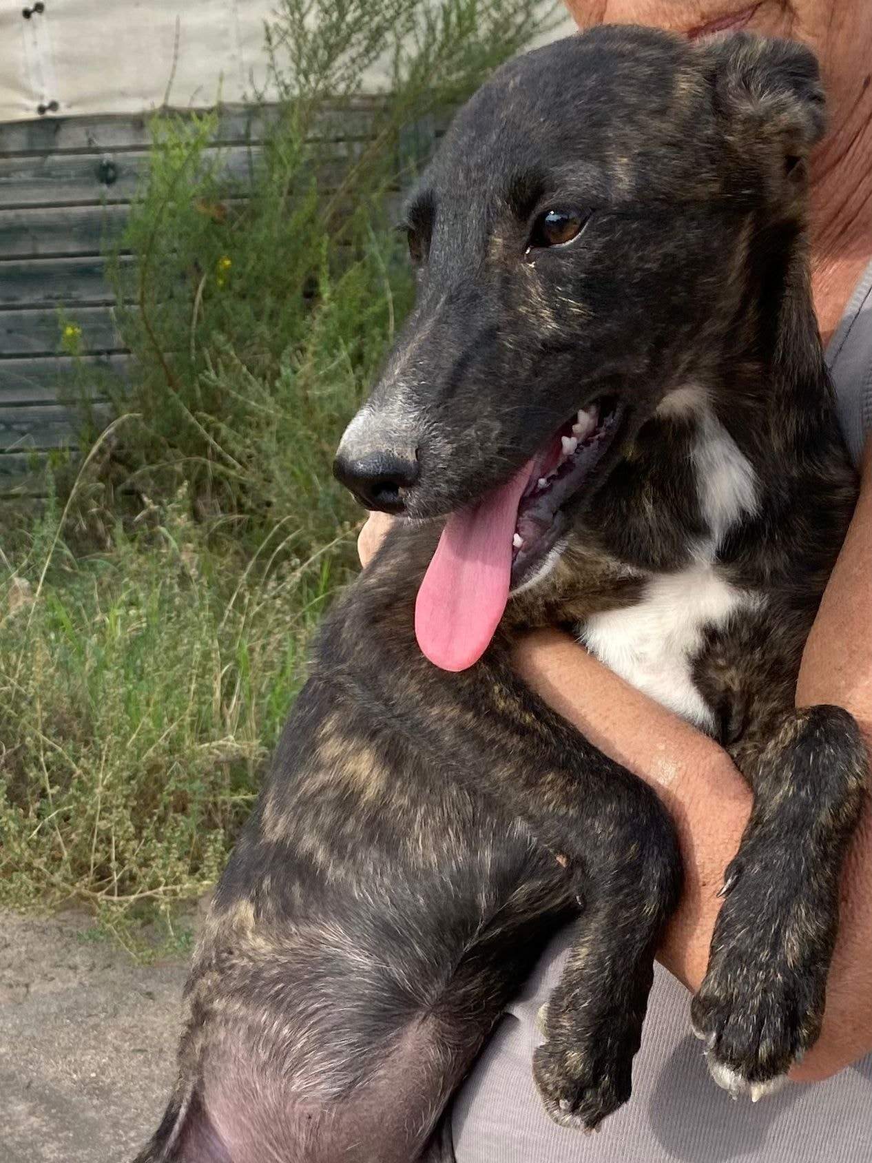 jura_1152226980450922