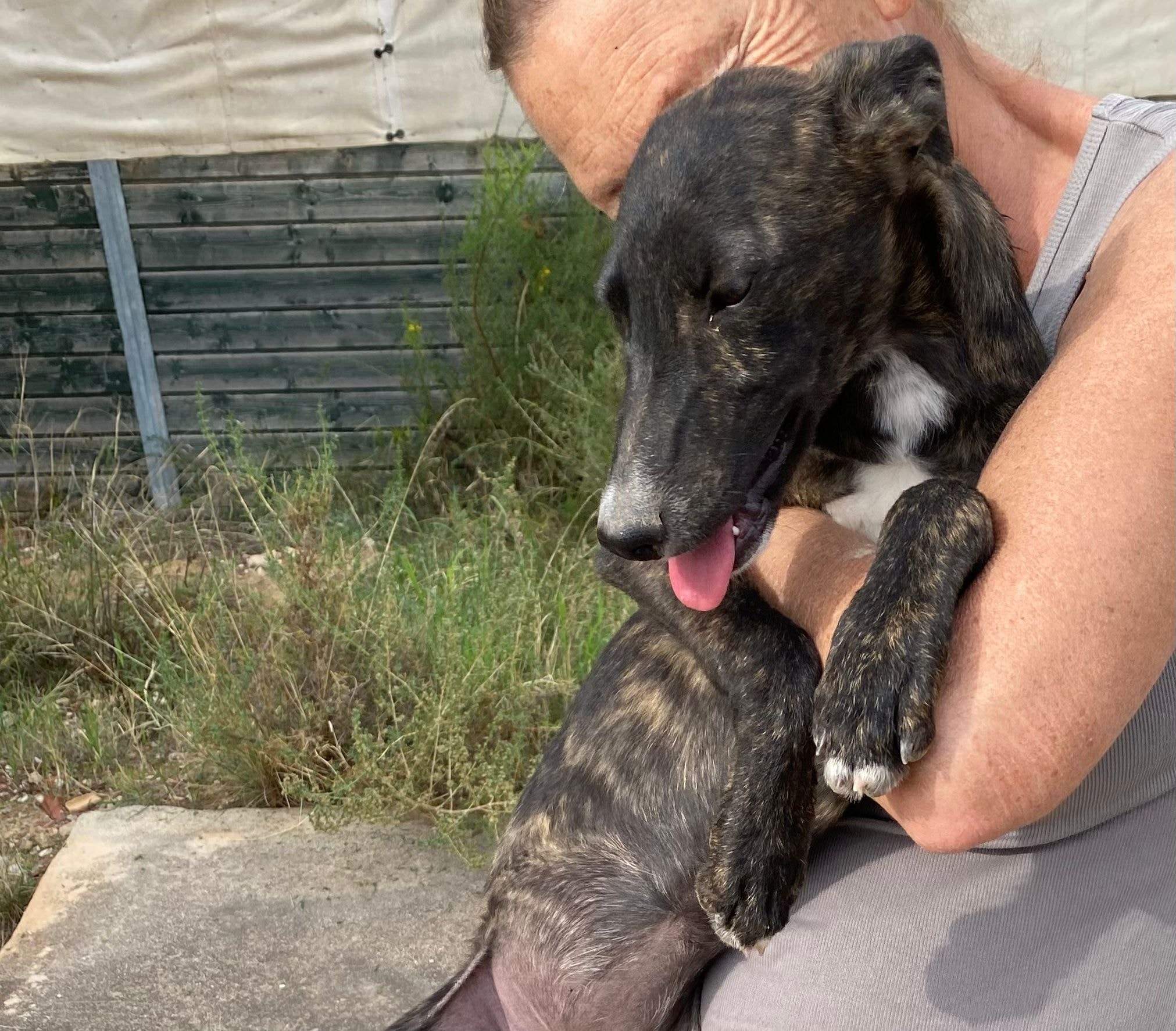 jura_1152227013784252