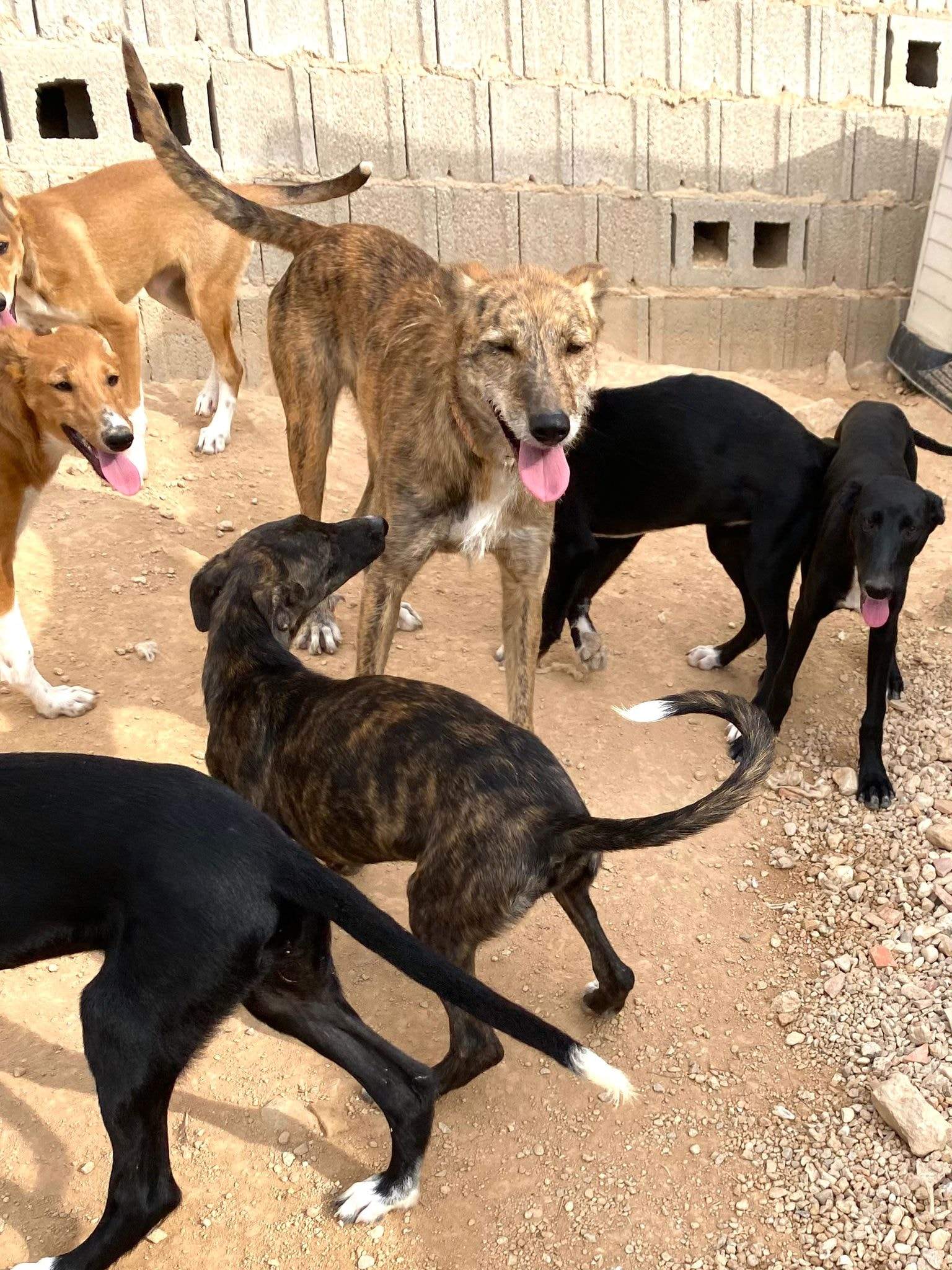 jura_1152227140450906