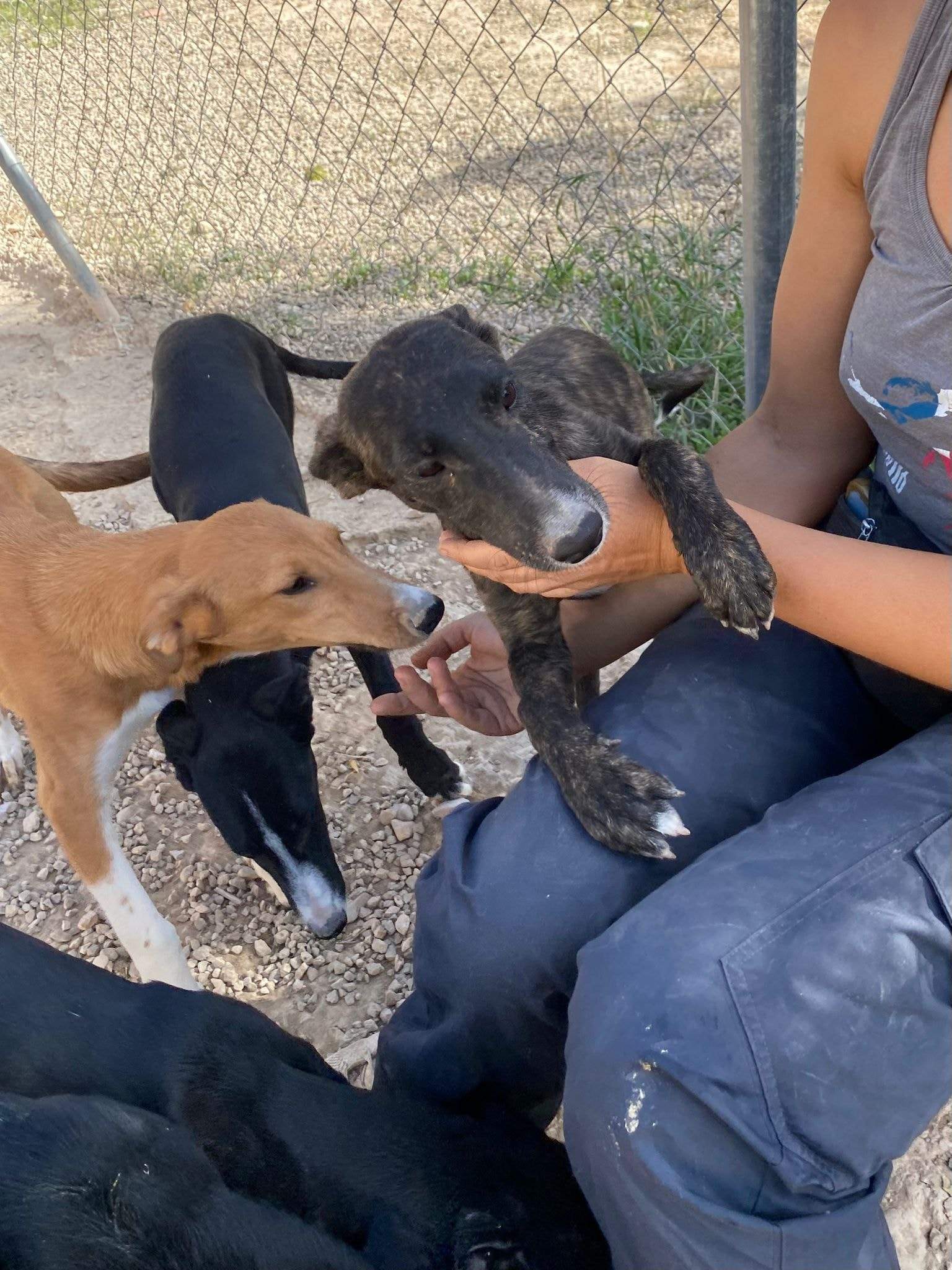 jura_1152227183784235