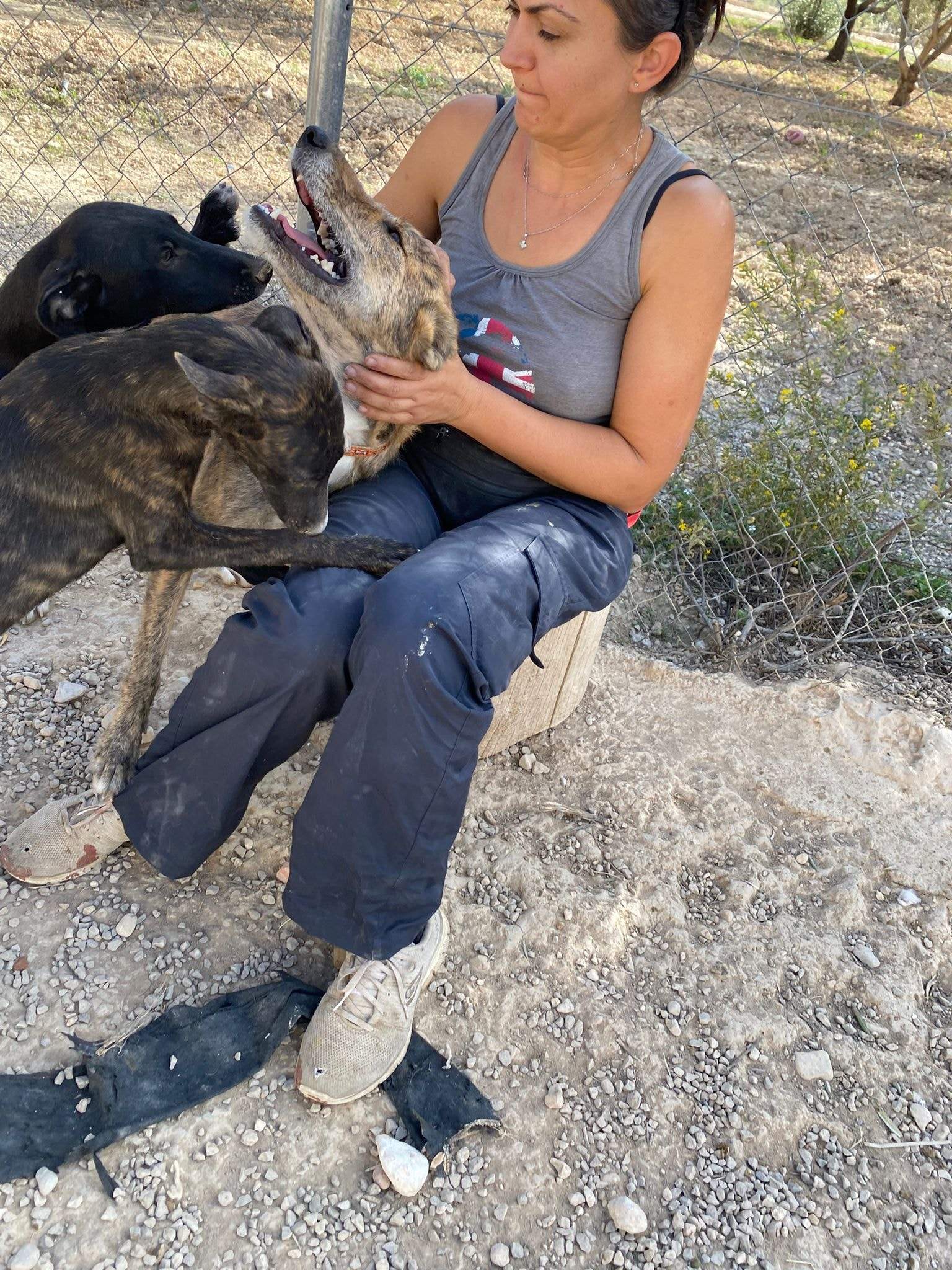 jura_1152227213784232