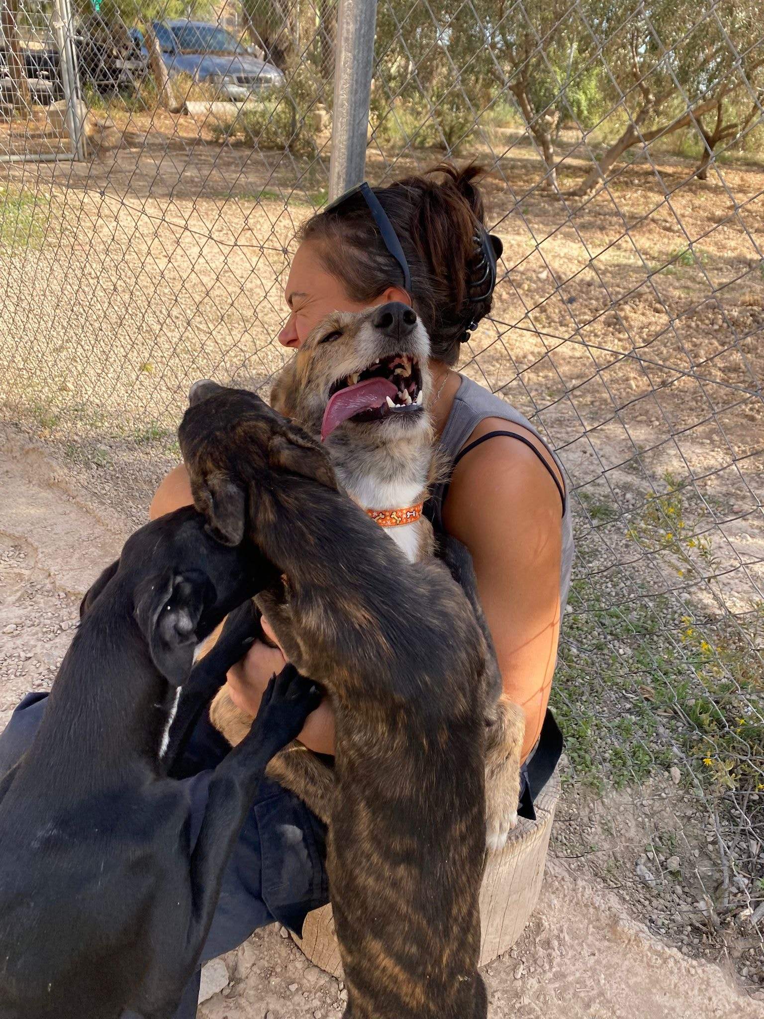 jura_1152227233784230