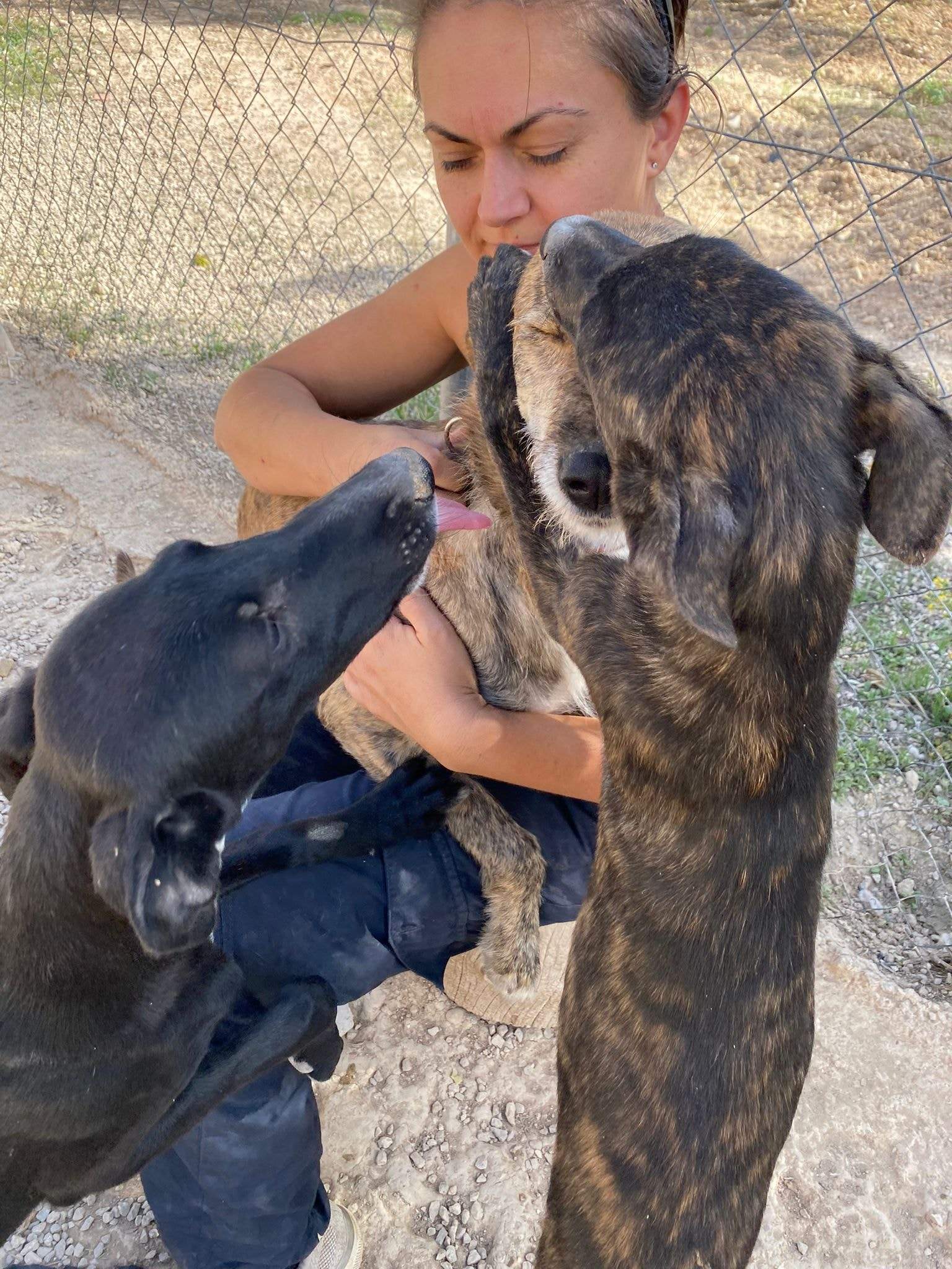 jura_1152227283784225