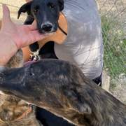 jura_1152227347117552