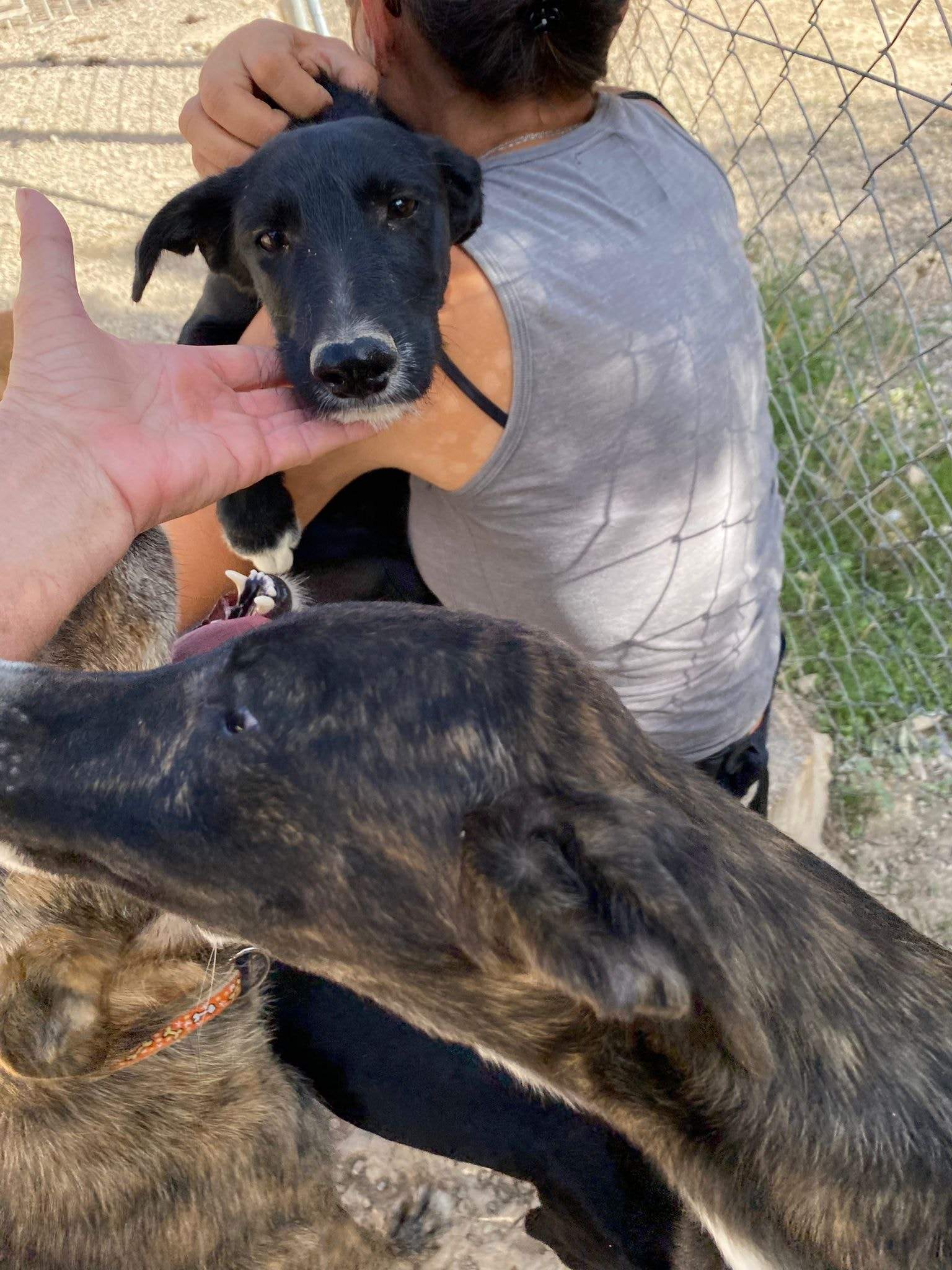 jura_1152227347117552