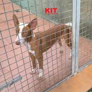 kit_1418203930519891