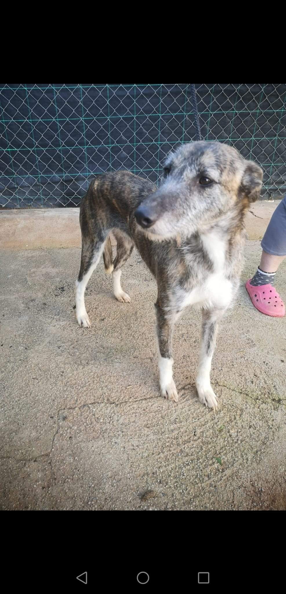 luna_1221511803522439